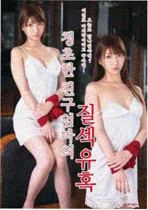 南来北往